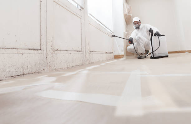 24/7 Emergency Mold Removal experts in Marshall, VA