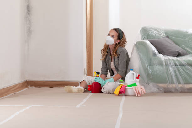 Reliable Mold Removal contractor in Marshall, VA by 24 Hour Mold Removal