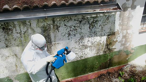 Top rated local Mold Removal specialists in Marshall, VA